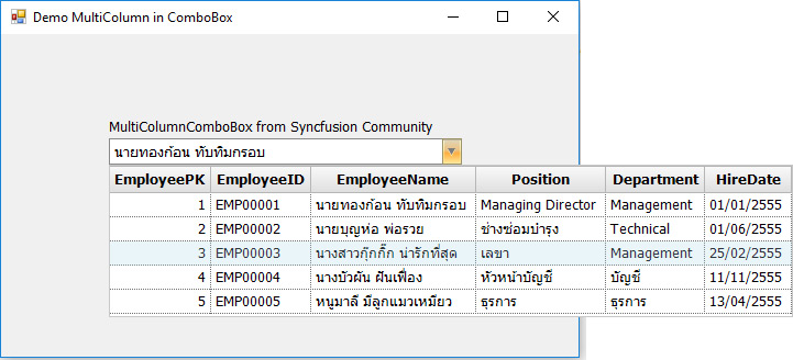 MultiColumnComboBox.jpg